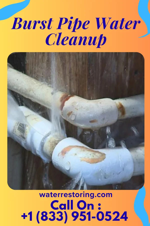 Burst Pipe Water Cleanup in Markham, WA