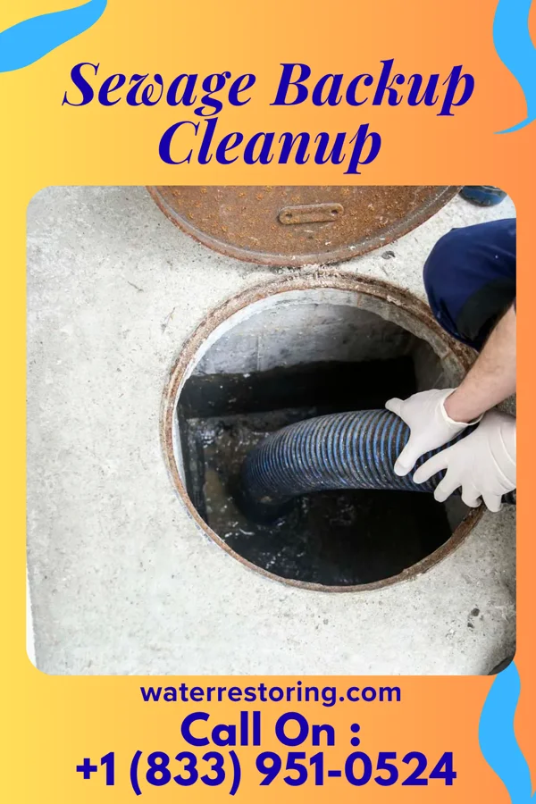 Sewage Backup Cleanup in Markham, WA