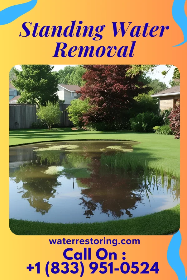 Standing Water Removal in Markham, WA